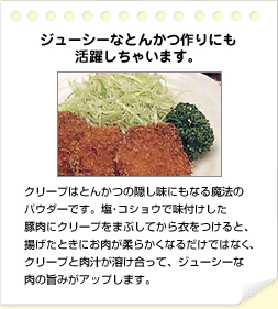 recipe_katsu_tonkatsu.jpg